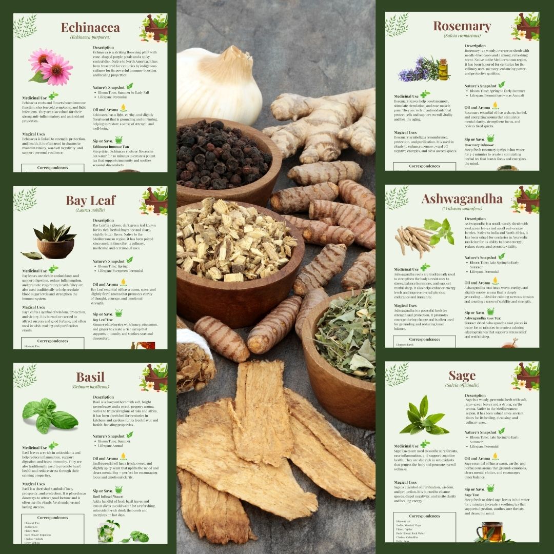 The Essential Herbal Handbook