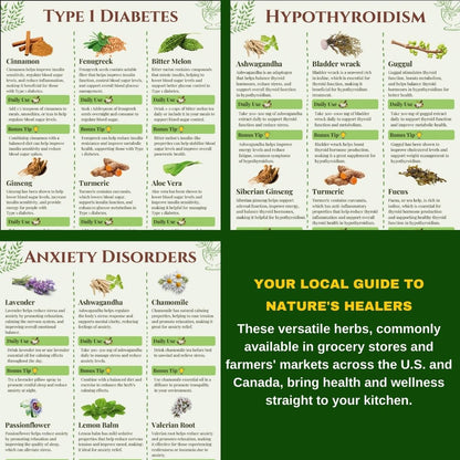 The Essential Herbal Handbook