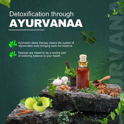 The Essential Herbal Handbook